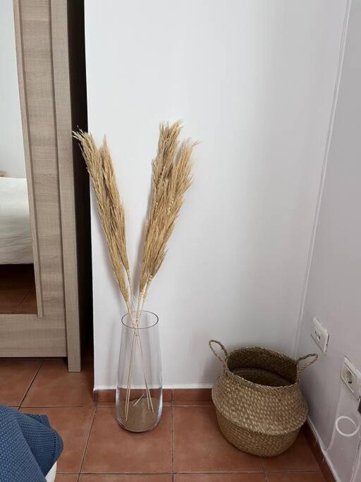 דירות ארונה Casa Lunita מראה חיצוני תמונה